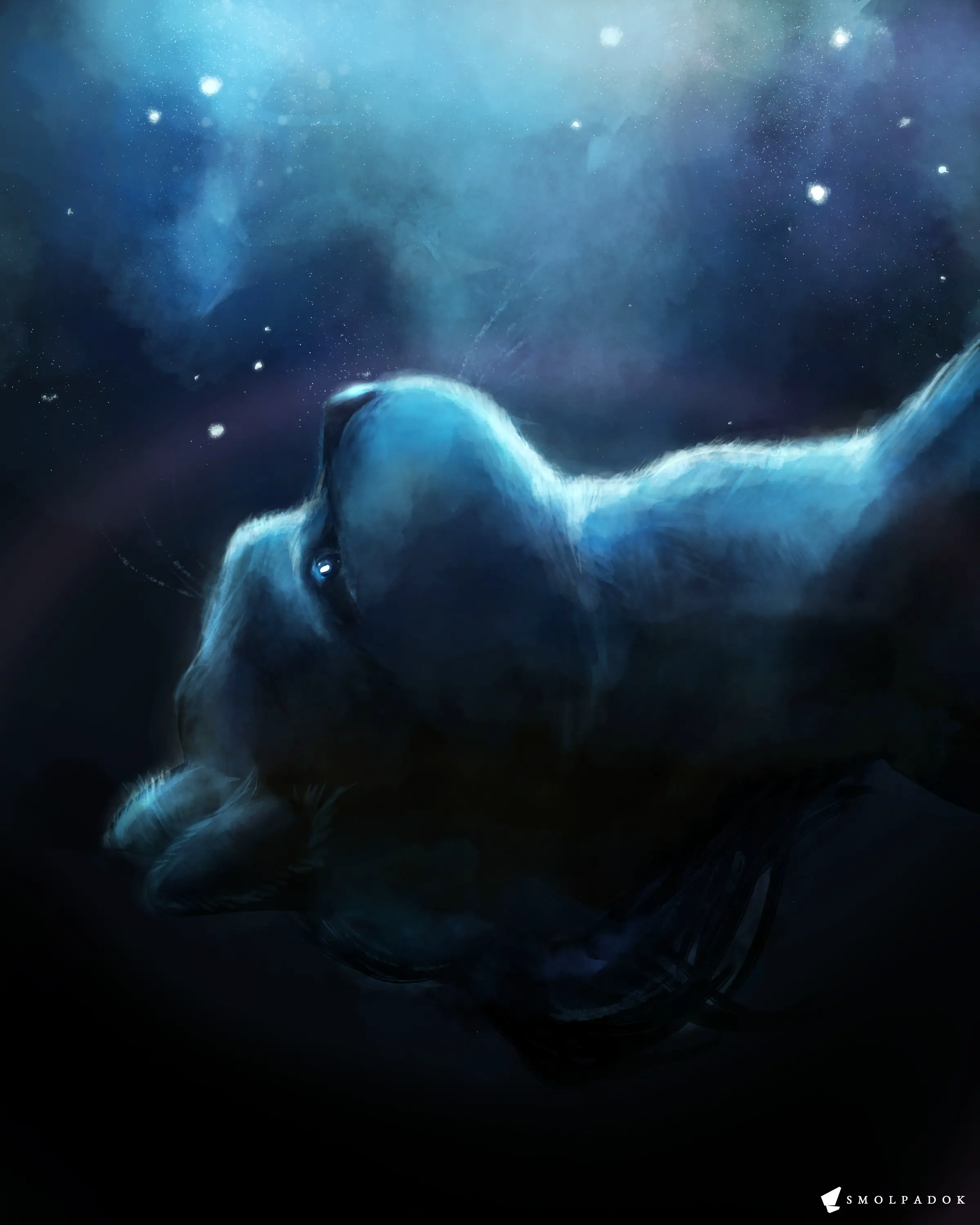 An unravelling artwork of Cooper